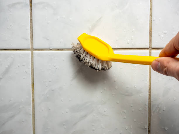 Best Home Mold Removal  in West Bend, WI