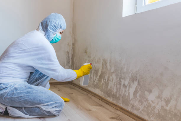 Mold Removal Process in West Bend, WI