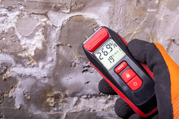 Best Affordable Mold Removal  in West Bend, WI