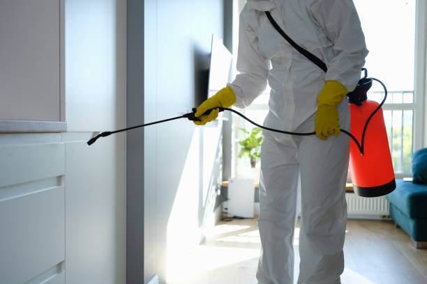 Best Mold Removal Process  in West Bend, WI