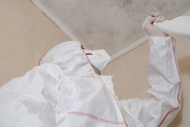 Best Mold Removal Process  in West Bend, WI