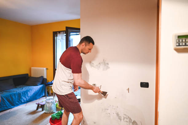 Professional Mold Removal in West Bend, WI